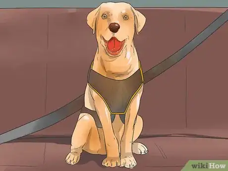 Image titled Prepare Your Dog for a Road Trip Step 2
