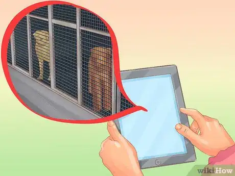 Image titled Choose the Right Care for Your Dog While on Vacation Step 9