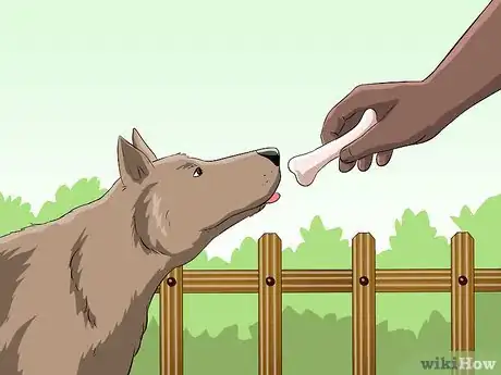 Image titled Protect Yourself from Dogs While Walking Step 19