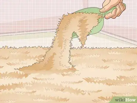 Image titled Run a Guinea Pig Rescue Step 17