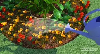 Start a Flower Garden