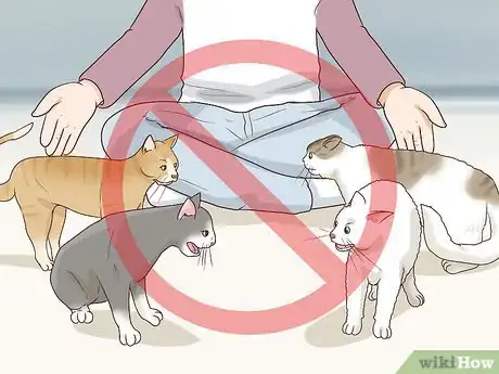 Image titled Encourage Group Scent in Multi‐Cat Households Step 4