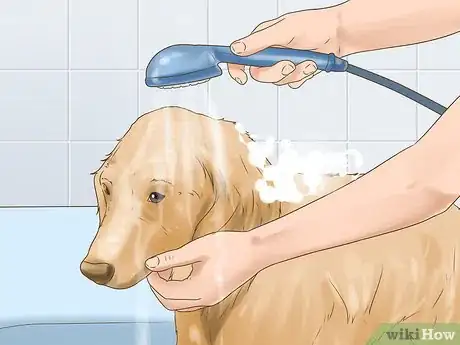 Image titled Get Dog Smell Out of a Basement Step 30