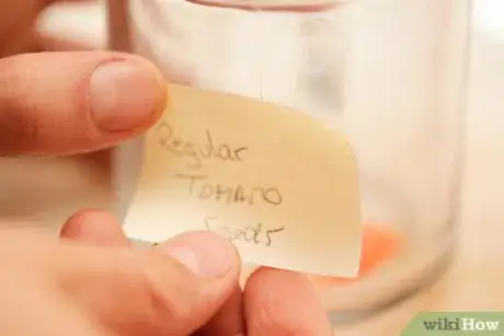 Image titled Save Tomato Seeds for Next Year Step 5