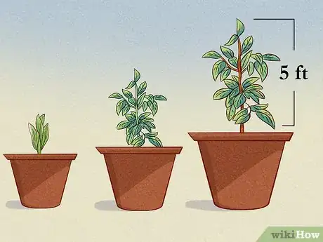 Image titled Make Cinnamon Step 12