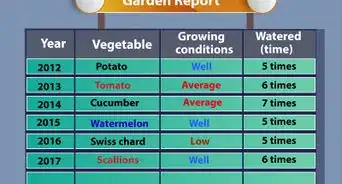 Plant Your First Garden