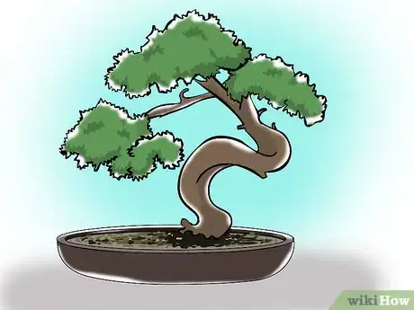 Image titled Trim a Bonsai Step 1