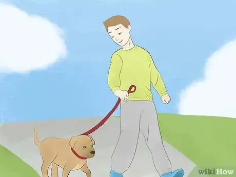 Image titled Calm a Hyperactive Dog Step 4