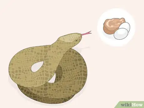 Image titled Feed Pets when You Can't Find Pet Food Step 7