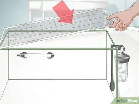 Image titled Have a Low Budget Fish Tank Step 5