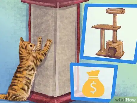 Image titled Care for Toygers Step 11