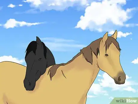 Image titled Load a Frightened Horse Into a Horse Trailer Step 1