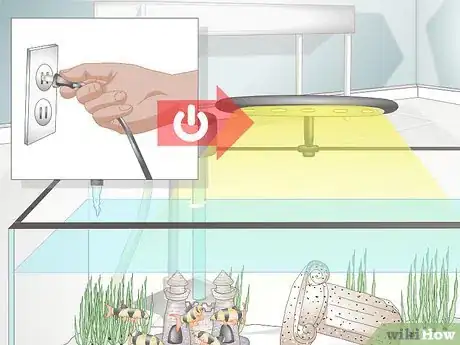 Image titled Take Care of Botia Fish Step 10