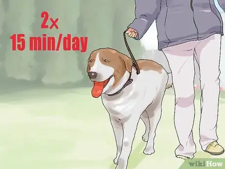 Image titled Handle a Dog Given to You As a Gift Step 4