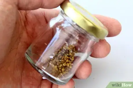 Image titled Dry Okra Seeds Step 7