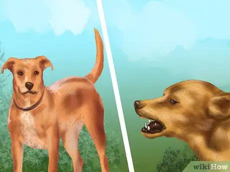 Image titled Keep Your Senior Dog Safe Around Young Kids Step 11