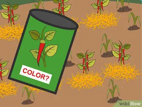 Image titled Grow Hot Peppers Step 19
