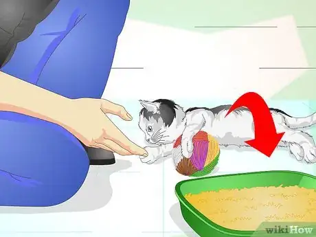 Image titled Keep Your Cat from Urinating Where It Shouldn't Step 15