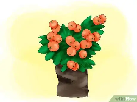 Image titled Plant Pyracantha Step 01