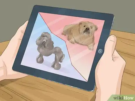 Image titled Figure out Dog Years Step 2