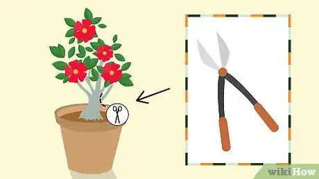 Image titled Grow Adeniums Step 7