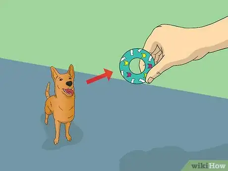 Image titled Train Your Dog to Shake Its Head Step 2