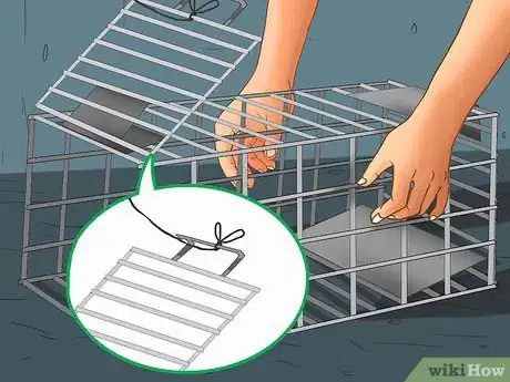 Image titled Earn the Trust of a Feral Kitten Step 2