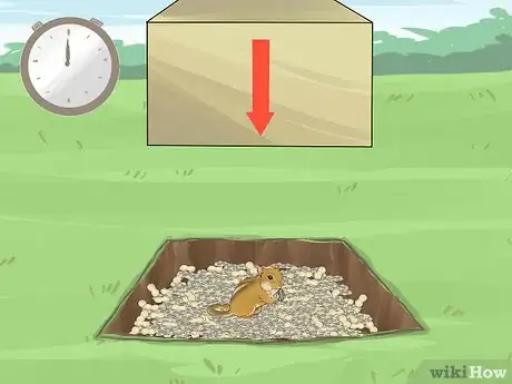 Image titled Catch a Chipmunk Step 17