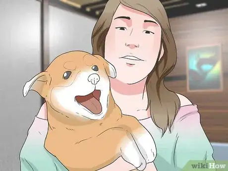 Image titled Train a Dog to Respond to Voice Commands Step 5