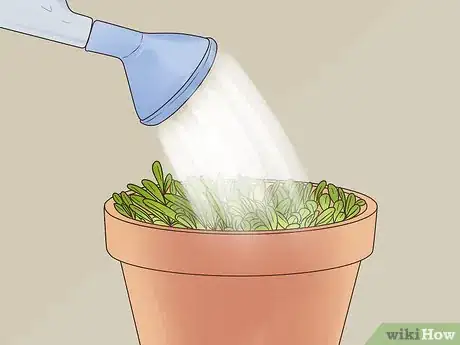 Image titled Grow Perennials From Seed Step 14