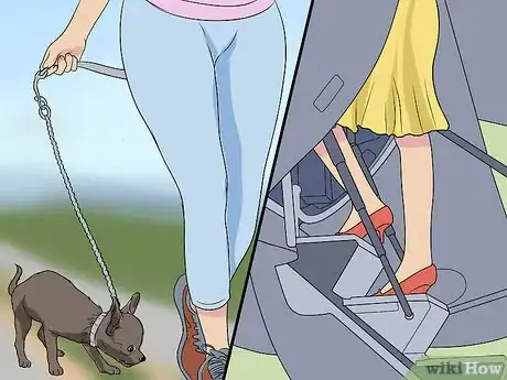 Image titled Fly Internationally With a Dog Step 13