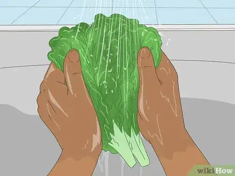 Image titled Avoid Elizabethkingia Infection Step 5