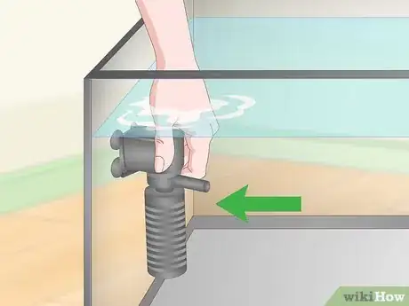 Image titled Take Care of Mini Pet Turtles Step 3