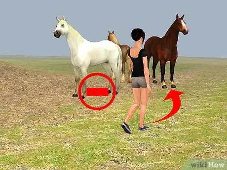 Image titled Easily Catch Your Horse Step 3