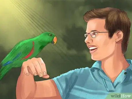 Image titled Select a Pet Parrot Step 3