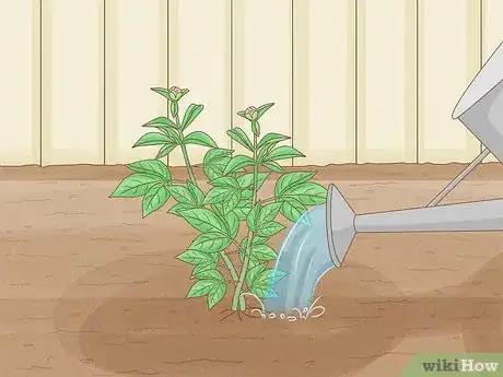 Image titled Transplant Potted Flowers Outdoors Step 7