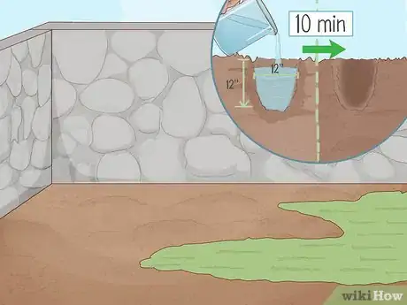 Image titled Grow Feverfew Step 1