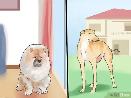 Image titled Handle a Dog Given to You As a Gift Step 5