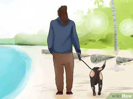 Image titled Get Dogs to Mate Step 25