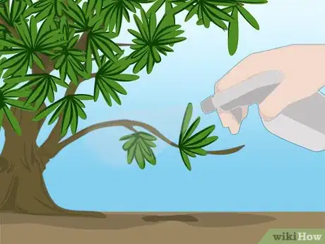 Image titled Propagate Azaleas Step 3