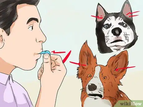 Image titled Deal with Aggressive Dogs when They Fight Step 3