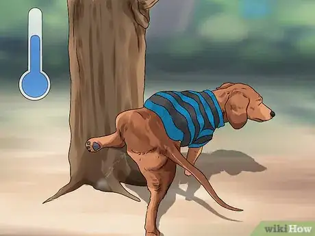 Image titled Crate Train Dachshunds Step 10