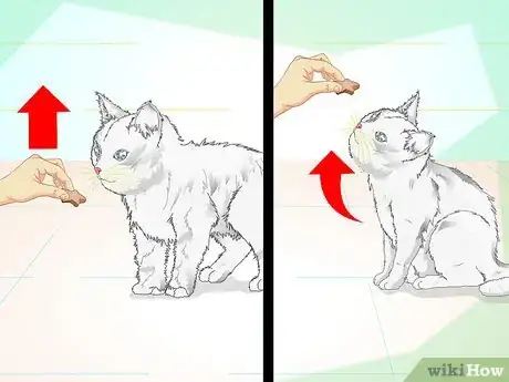 Image titled Make a Hyper Cat Sit Step 4