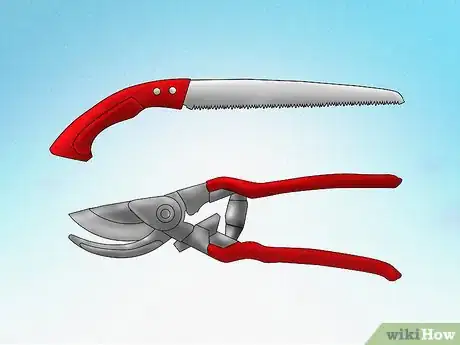 Image titled Prune a Tulip Magnolia Step 2