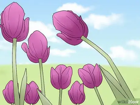 Image titled Improve Composition in Your Photographs Step 15