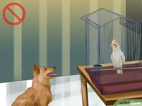 Image titled Deal with Cockatiel Night Frights Step 10