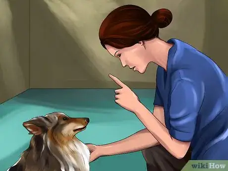 Image titled Housebreak a Dog with Positive Reinforcement Step 15