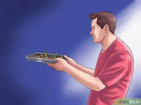 Image titled Winterize Calla Lily Bulbs Step 5