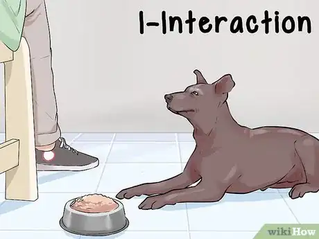 Image titled Diagnose Cognitive Dysfunction in Senior Dogs Step 2