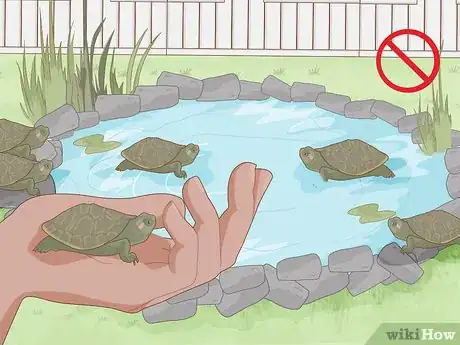 Image titled Help Protect Biodiversity Step 14